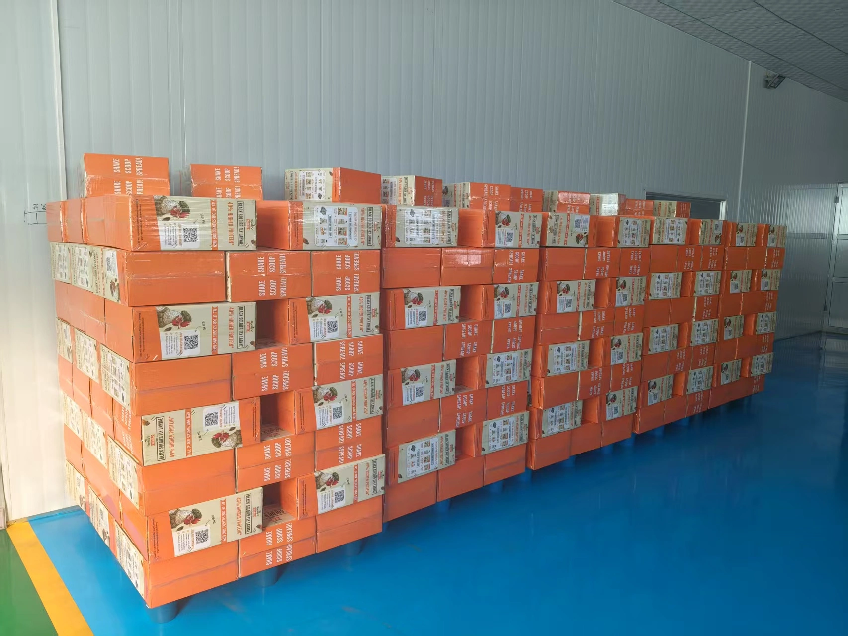 black soldier fly larvae as animal feed black soldier fly larvae as animal feed