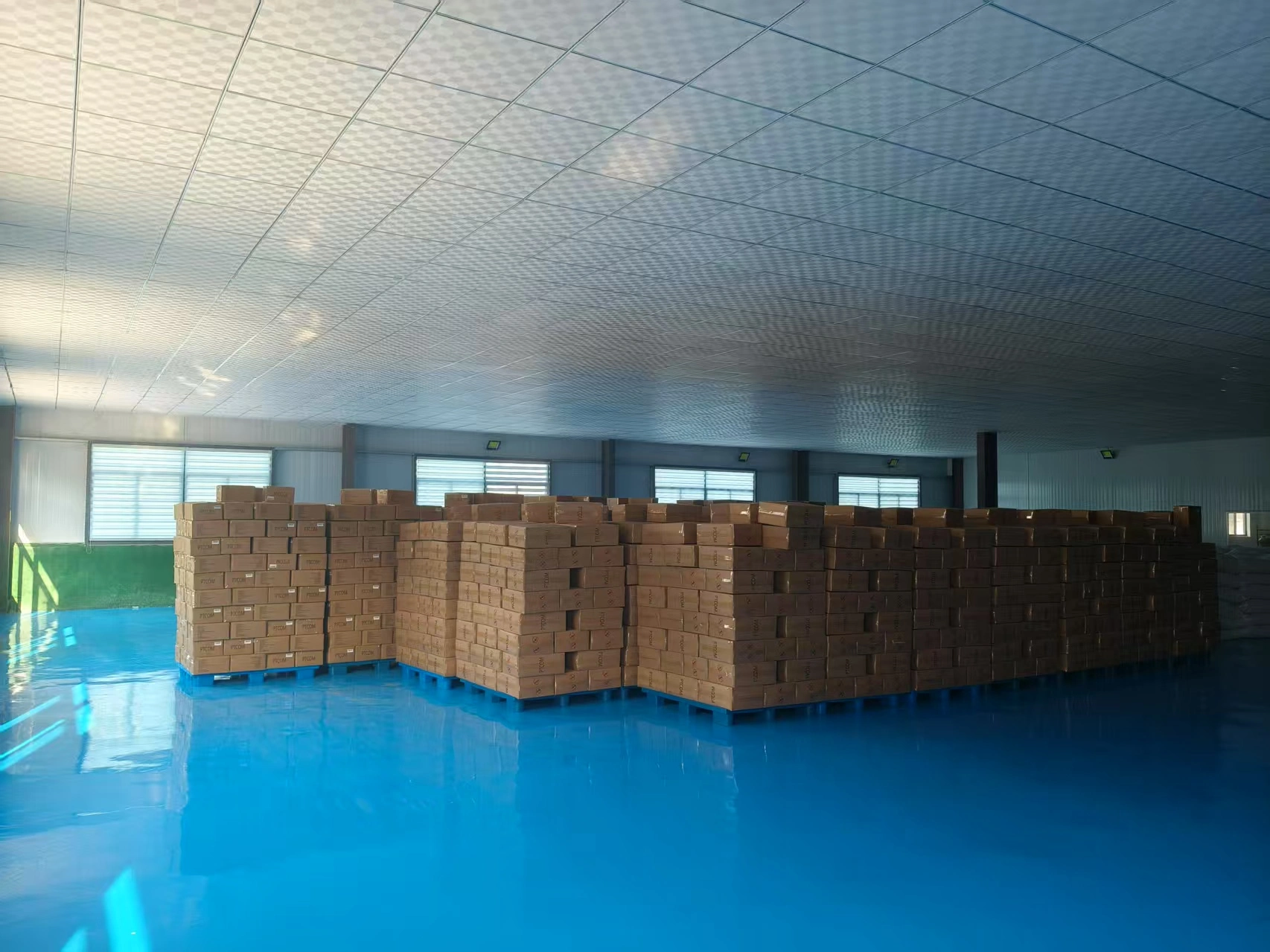 Black soldier fly larvae for birds