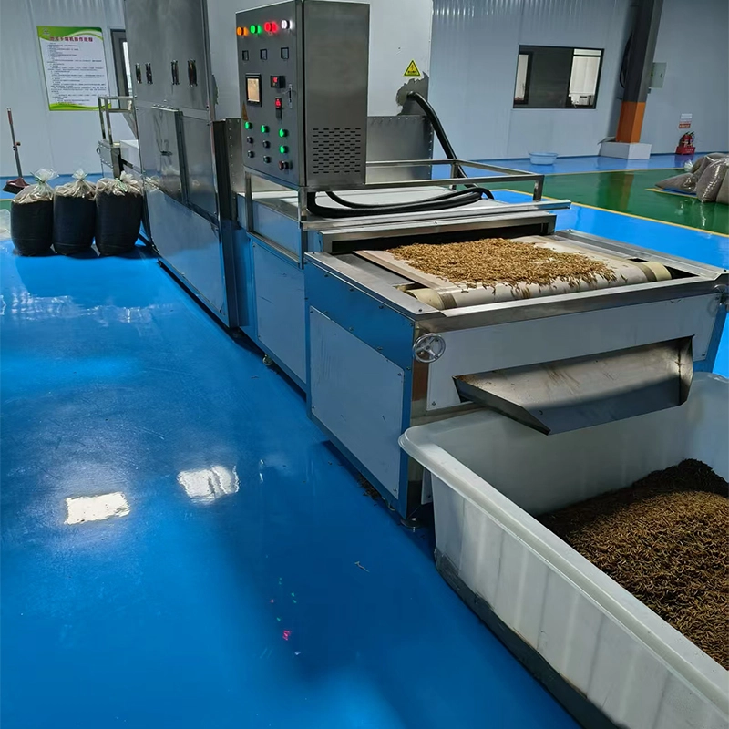 dried mealworms for parrots