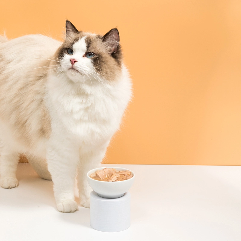 Canned cat food with tuna and pumpkin Canned cat food with tuna and pumpkin