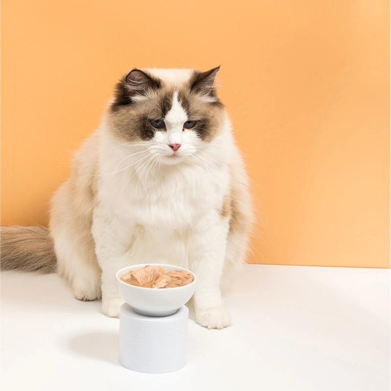 shredded chicken for cats shredded chicken for cats