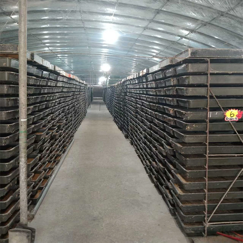 black soldier fly farm