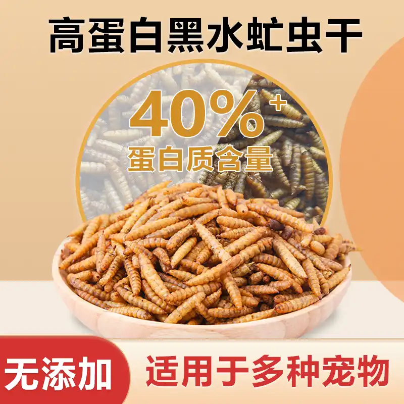 dried black soldier fly larvae for chickens