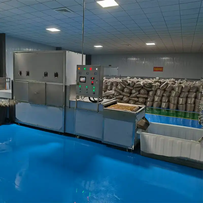 black soldier fly farm