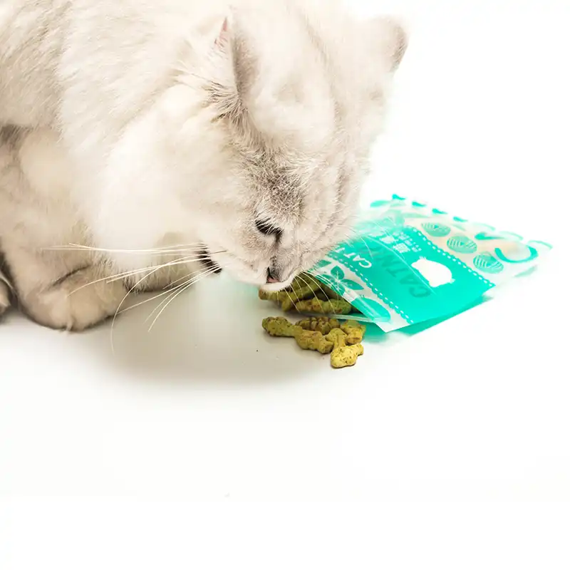 ​    ​salmon flavored cat biscuits