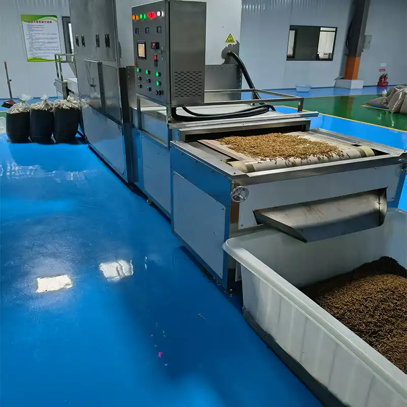 mealworms for fishing bait