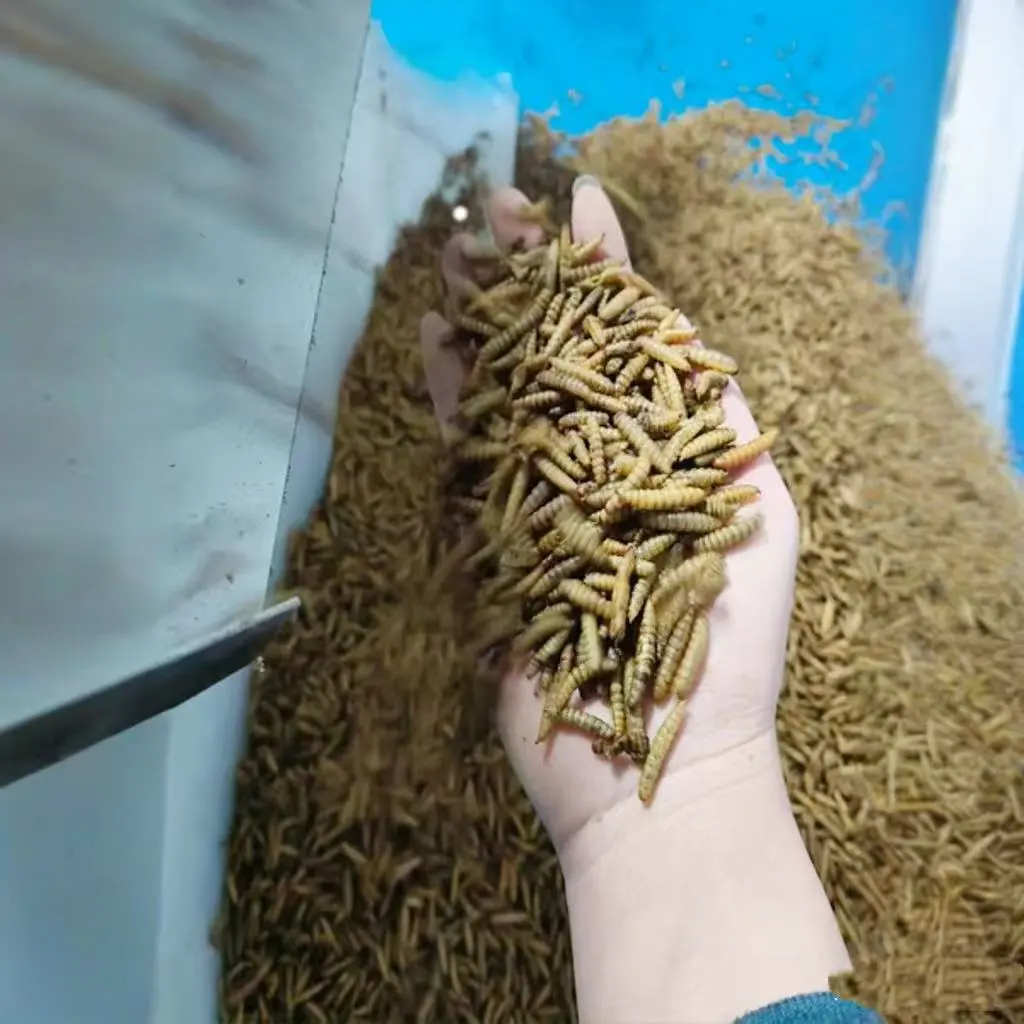 mealworms fish food pellets