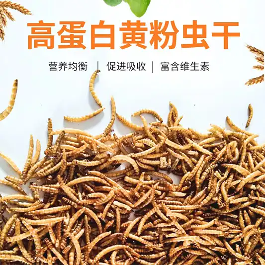 mealworms fish food pellets mealworms fish food pellets