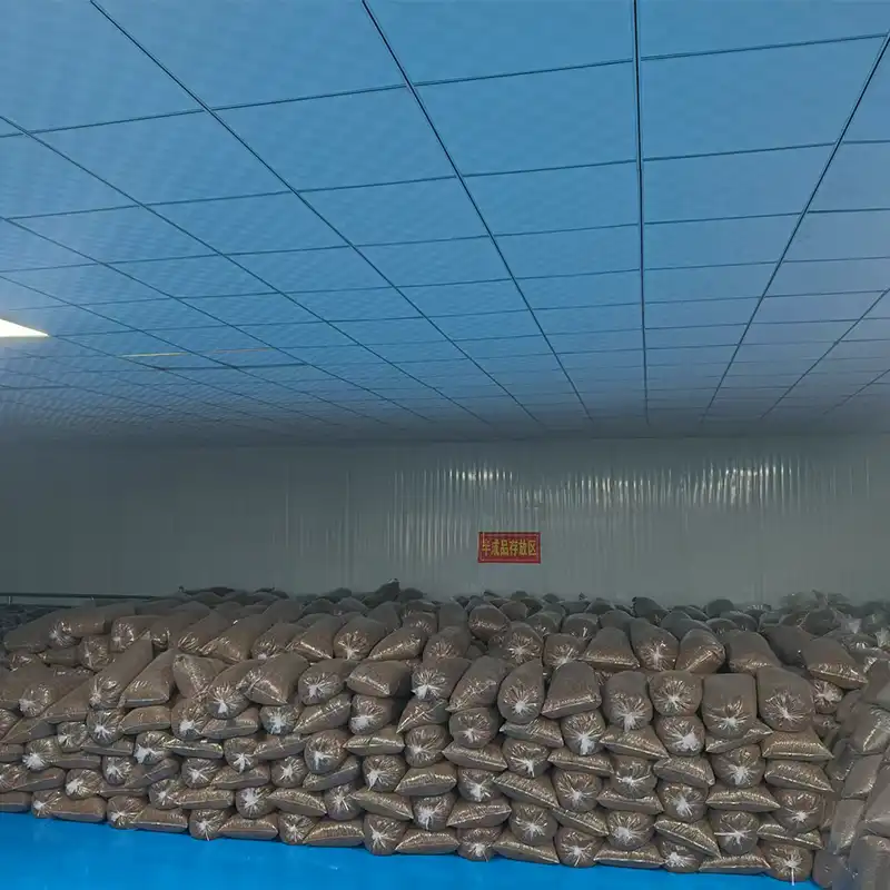 black soldier fly larvae for fish black soldier fly larvae for fish