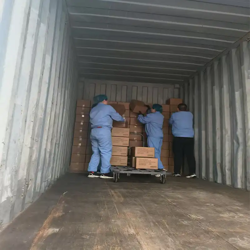 black soldier fly larvae black soldier fly larvae