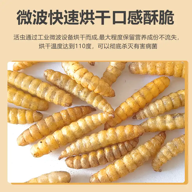 black soldier fly larvae