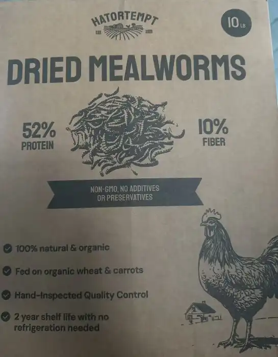 chicken food