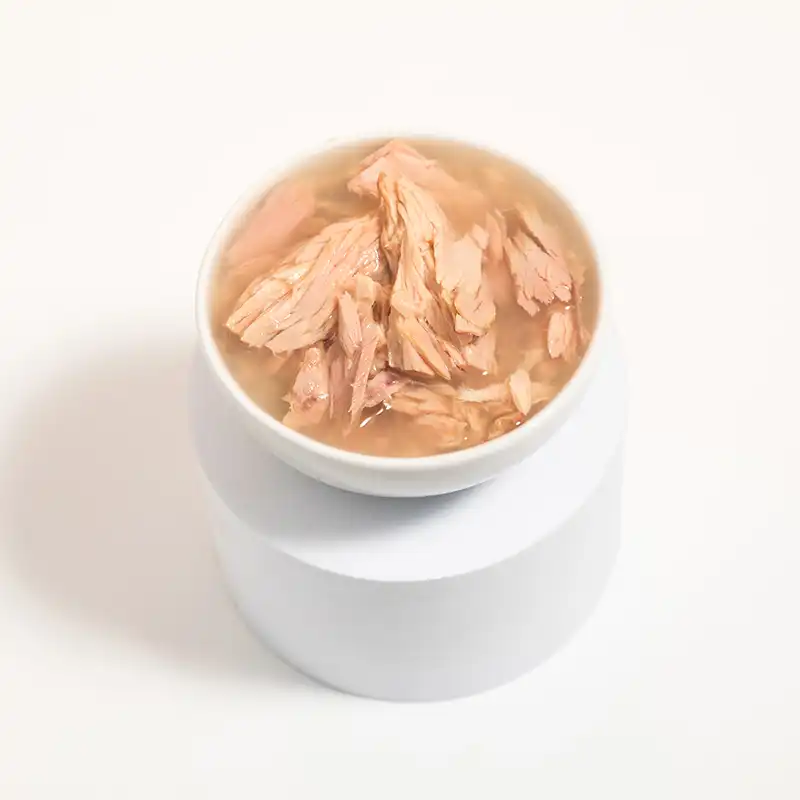 canned tuna broth for cats canned tuna broth for cats