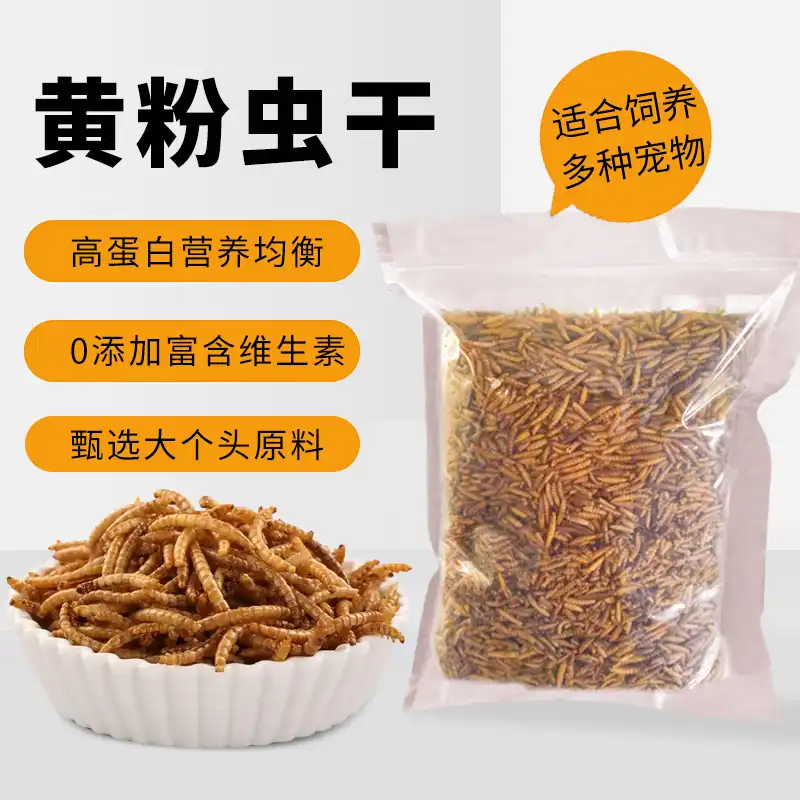  mealworms for chickens