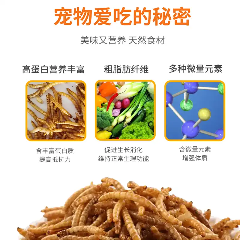 mealworms for chickens