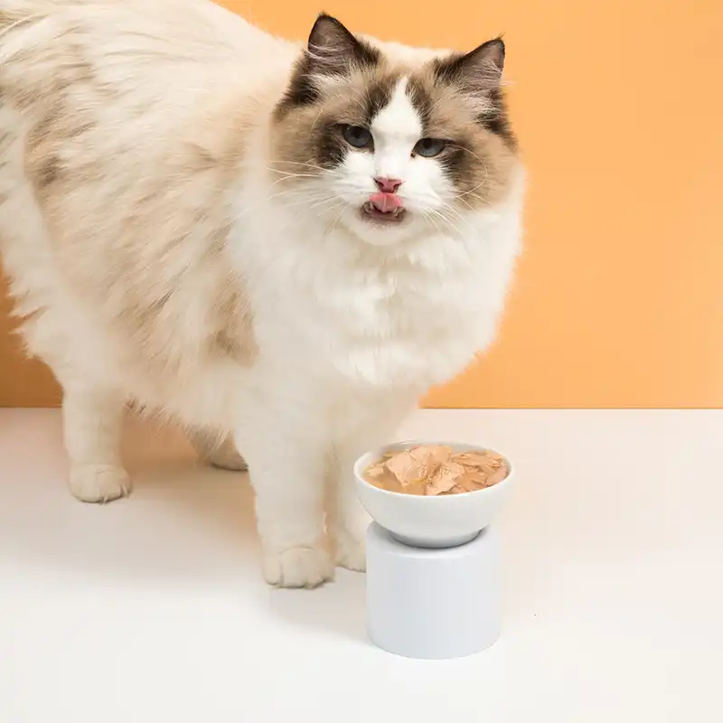 Custom Shredded Chicken Cat Treats with Added Taurine