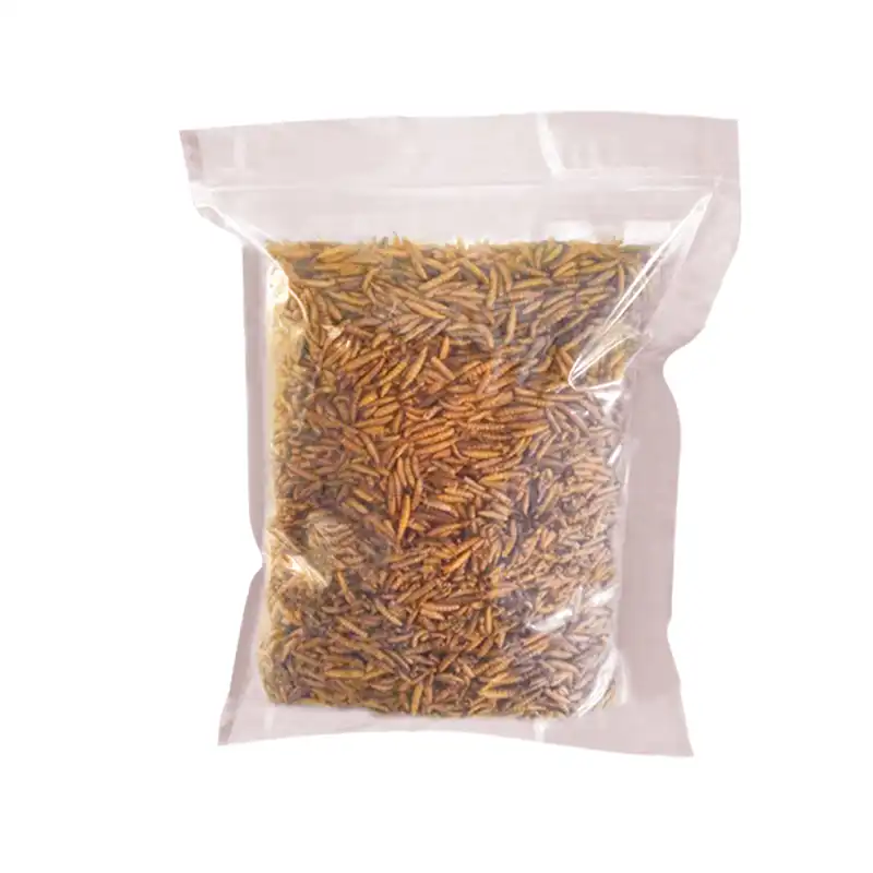 What are the environmental impacts of large-scale mealworm production?