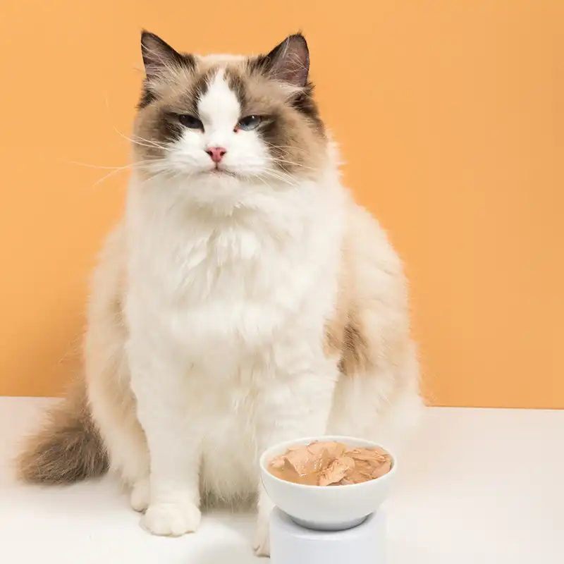 How long does fresh pet dog food last after opening?