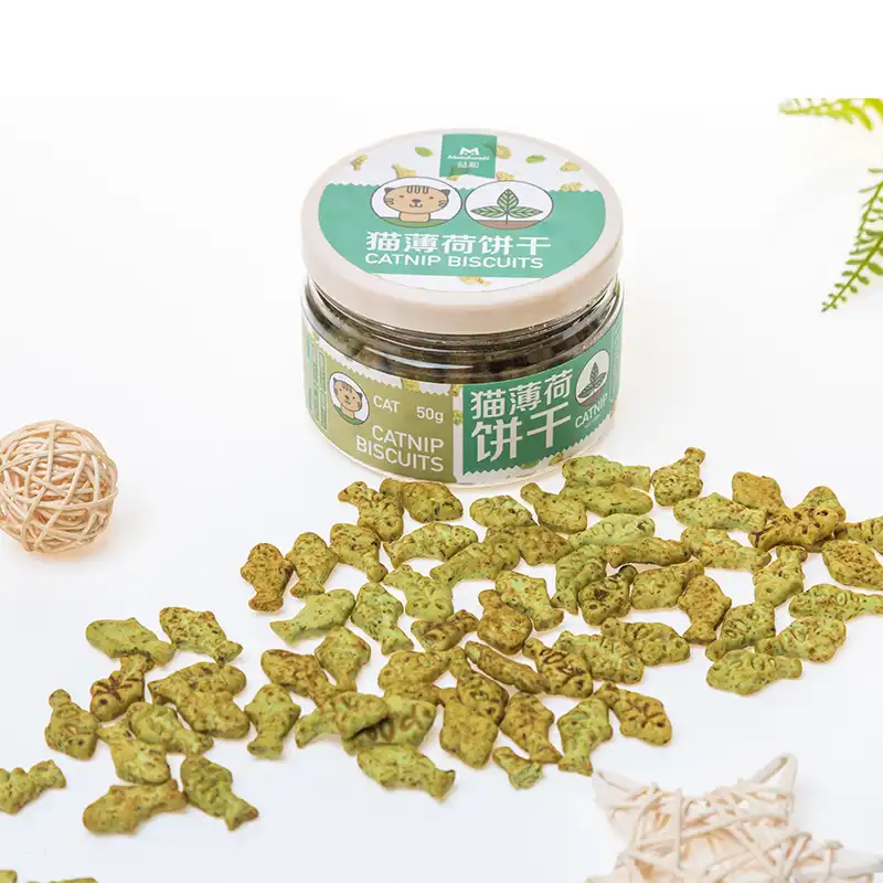 Where to Find High Quality Mint Cat Biscuits for Cats?