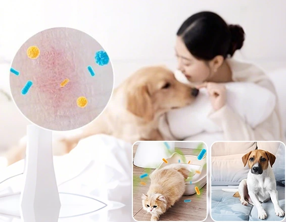 مستلزمات الحيوانات الأليفة