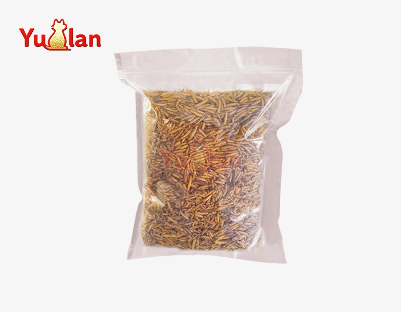 mealworms for chickens