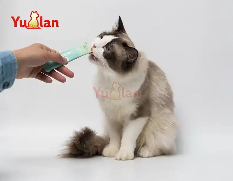 لحم البقر مع زيت السلمون