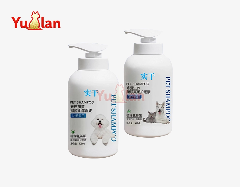 bichon frise conditioner