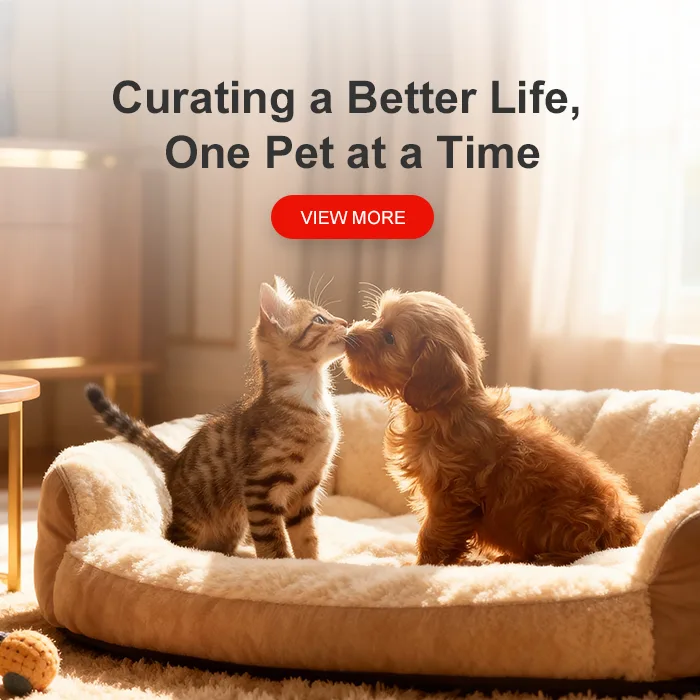 手机端banner1_1762911907127